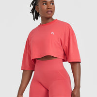 Classic Relaxed Crop Lightweight T-Shirt | Washed Sweet Red